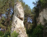 Poluvsianska skalná ihla (Poluvsie Rocky Needle)