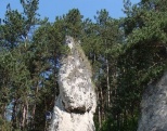 Poluvsianska skalná ihla (Poluvsie Rocky Needle)