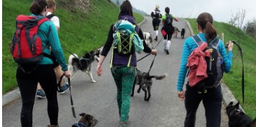 Dogtrekking Jánošíkovým chodníkom